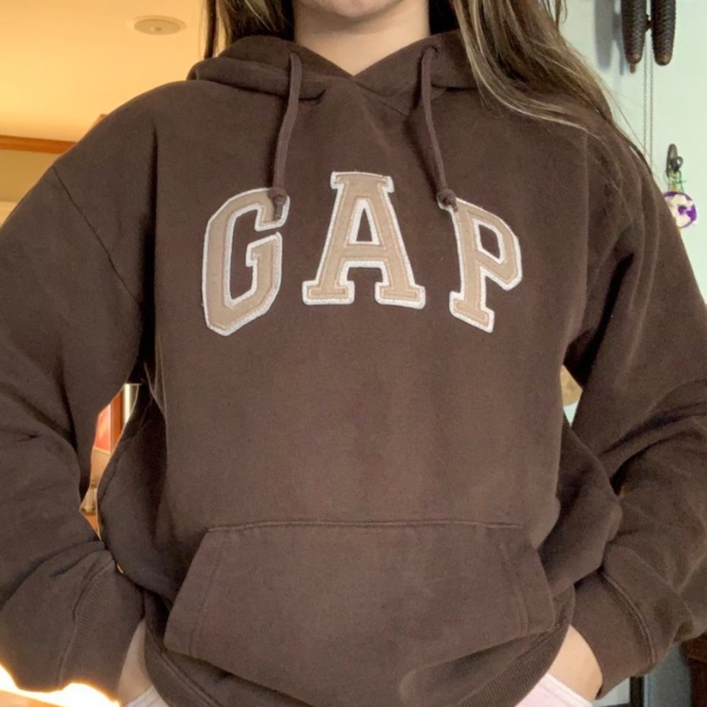 ISO BROWN GAP HOODIE